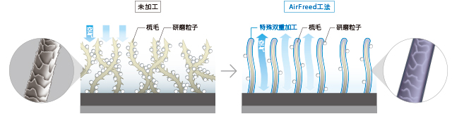 [News Release] 鸇HAYABUSA MOLT系列｢MOLT AIR｣・｢MOLT FOAM｣上市 2