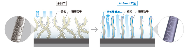 [News Release] 鸇HAYABUSA MOLT系列｢MOLT AIR｣・｢MOLT FOAM｣發售 2