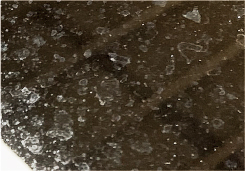 [News Release] A Solution to Water Spots and Heat Accumulation Peculiar to a Sunroof "UNIGLOBE Sunroof Protection Film" is Released. 2