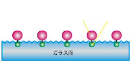 従来のガラス撥水でのフッ素定着量のイラスト